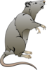 Gray Rodent Clip Art